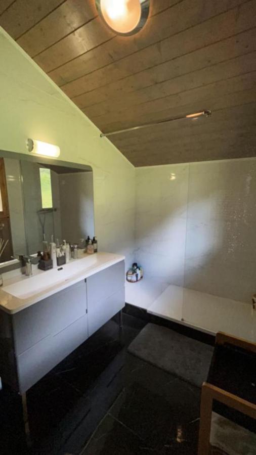 Chalet Luxueux Châtel Exteriör bild