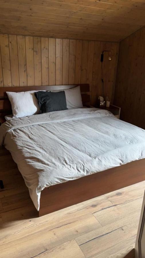 Chalet Luxueux Châtel Exteriör bild